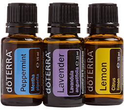 Beginner's Trio Kit