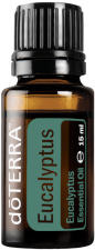 Eucalyptus - Huile essentielle
