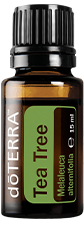 Arbre à thé (Tea Tree) - Huile essentielle